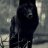 TheWolven