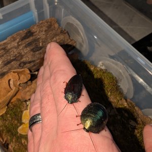 PXL_20260115_213350708.jpg