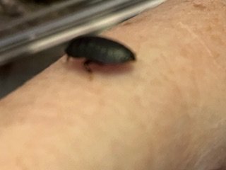 IMG_0262.jpg