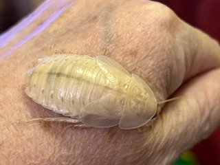 IMG_0267.jpg